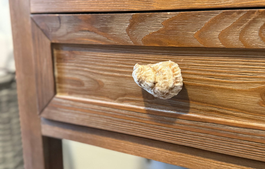 Oyster Shell Drawer Pull Knob