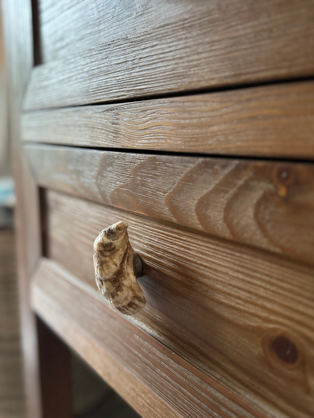 Oyster Shell Drawer Pull Knob