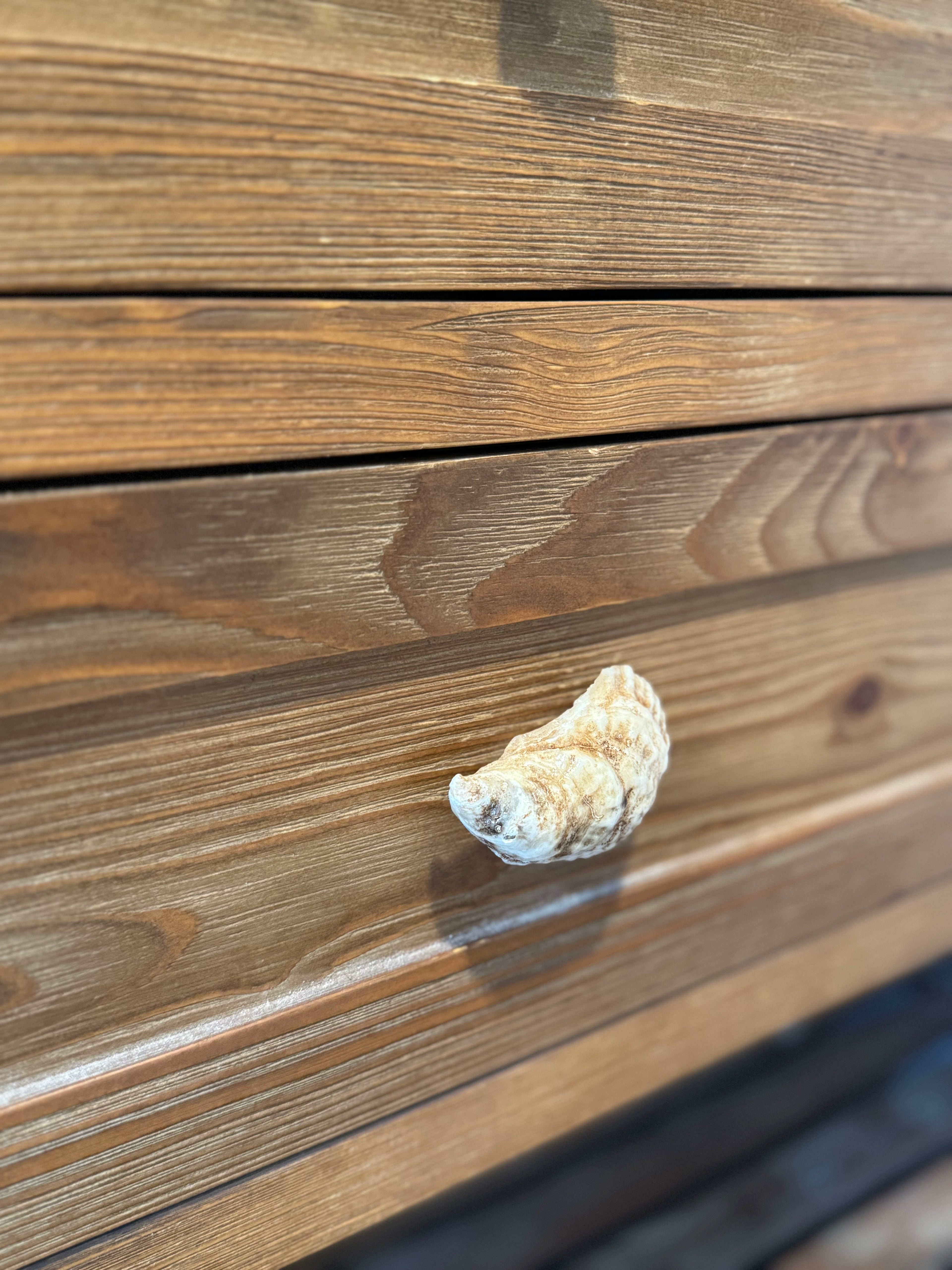 Oyster Shell Drawer Pull Knob