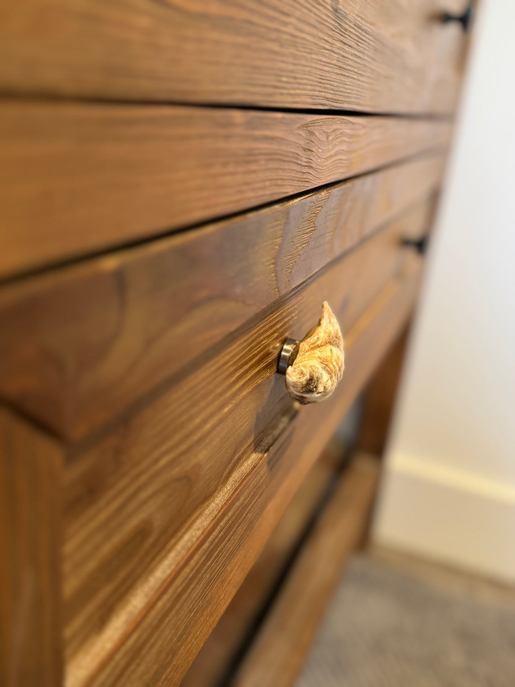 Oyster Shell Drawer Pull Knob