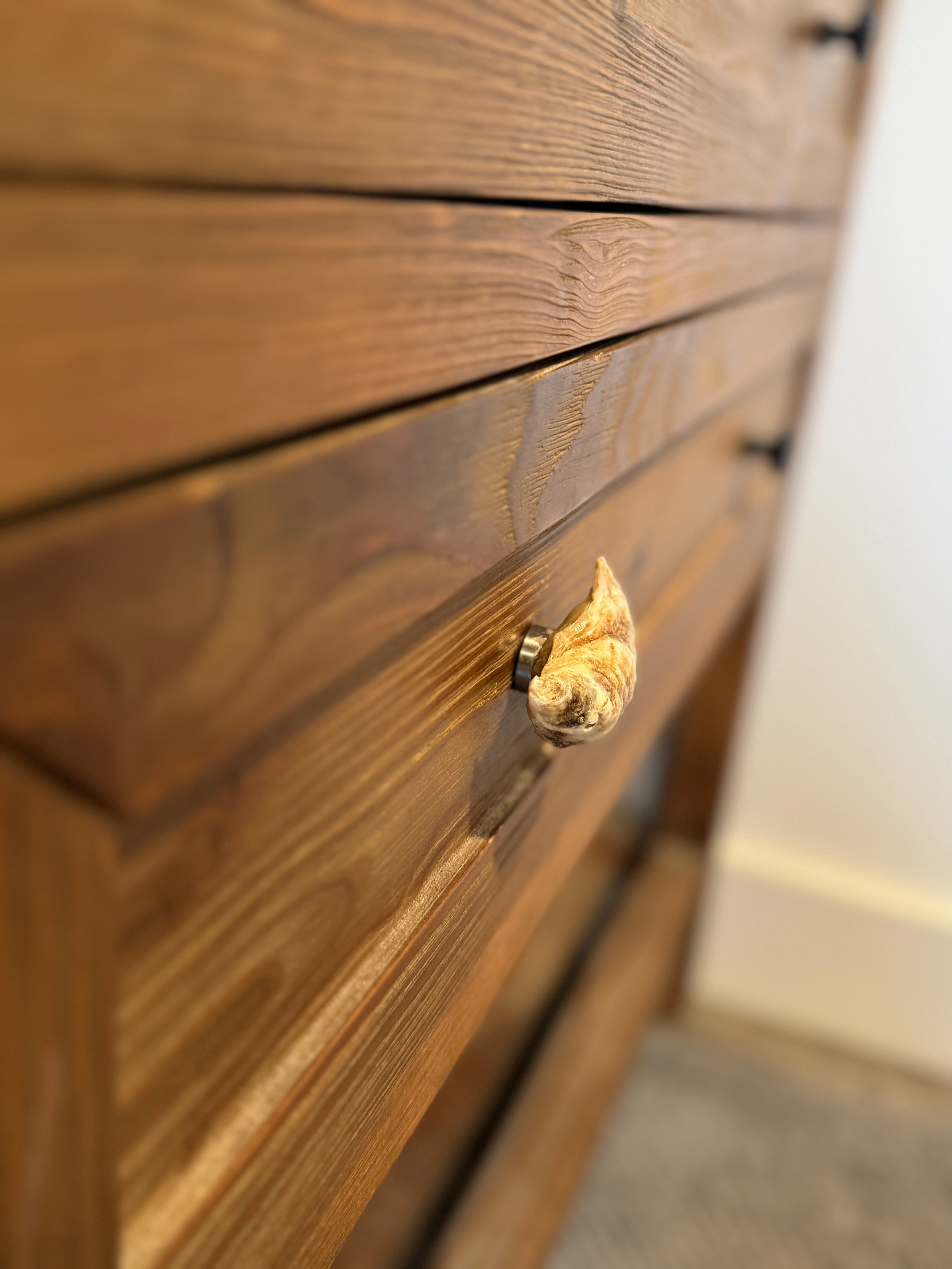 Oyster Shell Drawer Pull Knob