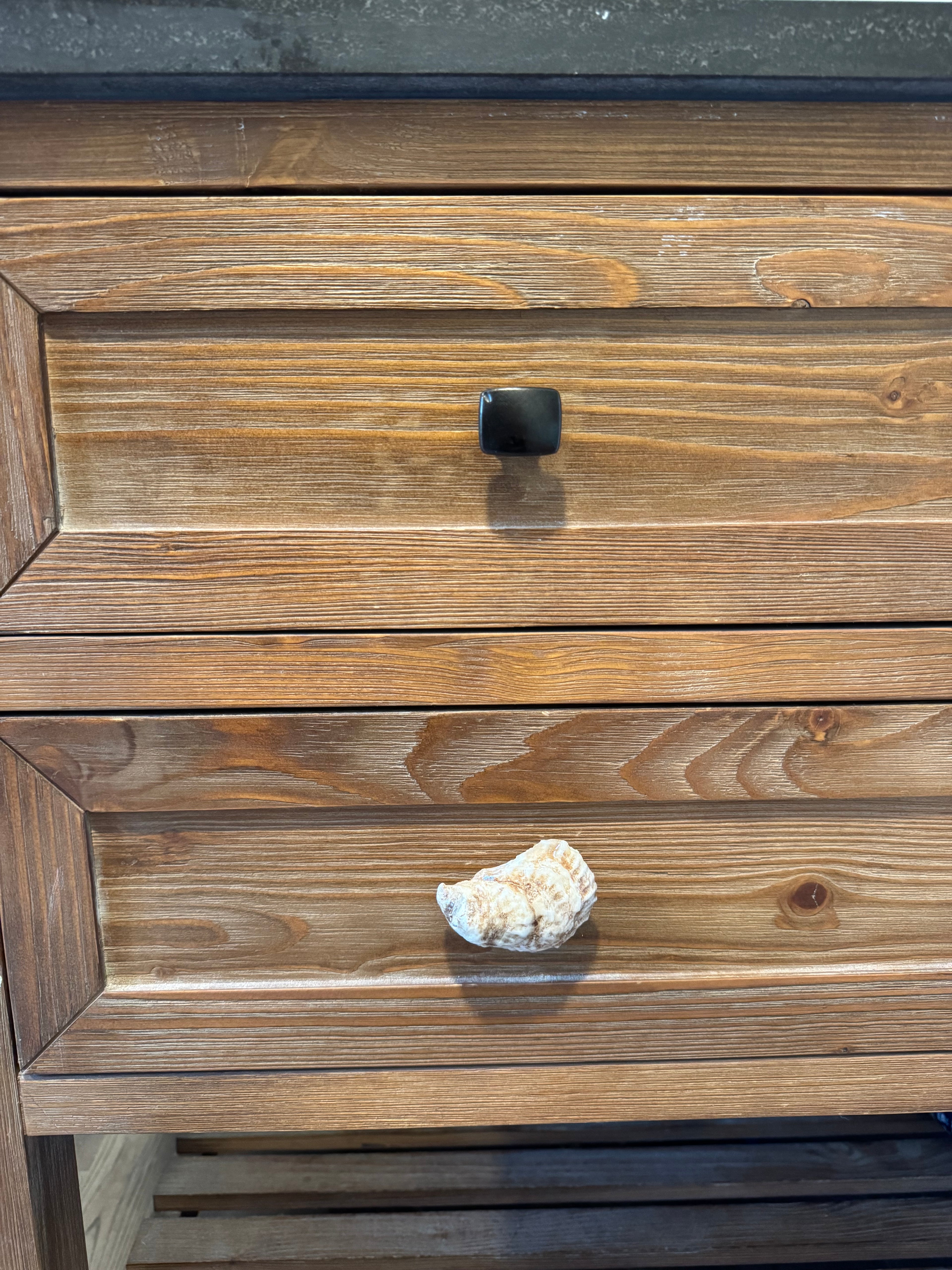 Oyster Shell Drawer Pull Knob