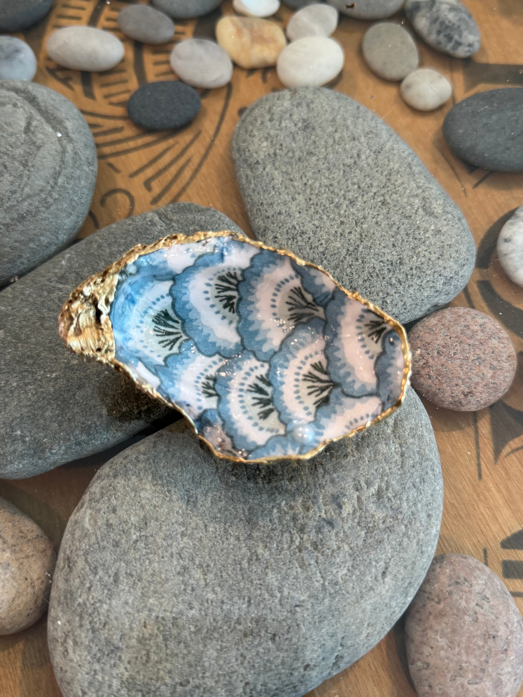 Single Oyster Shells