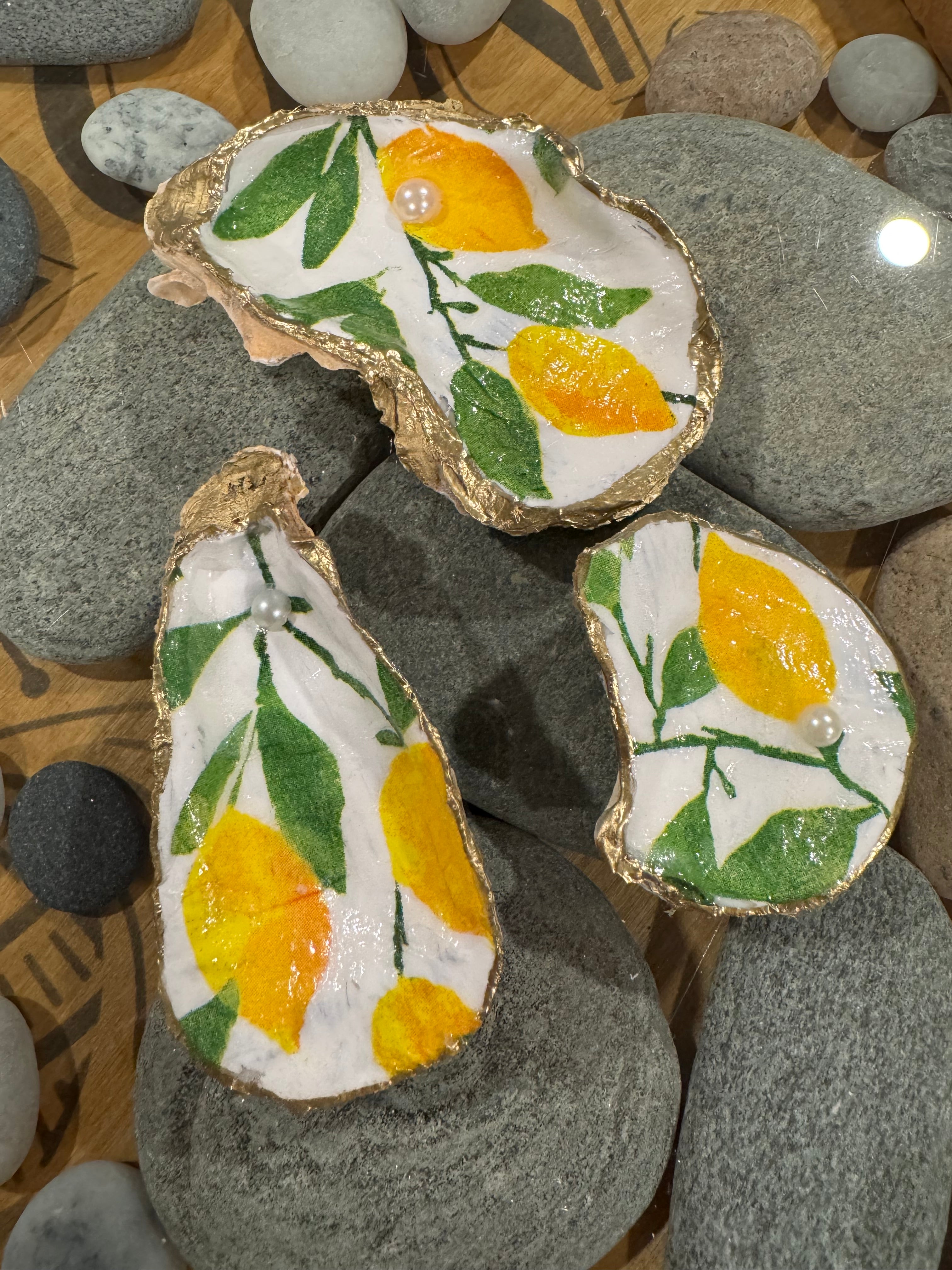 Single Oyster Shells