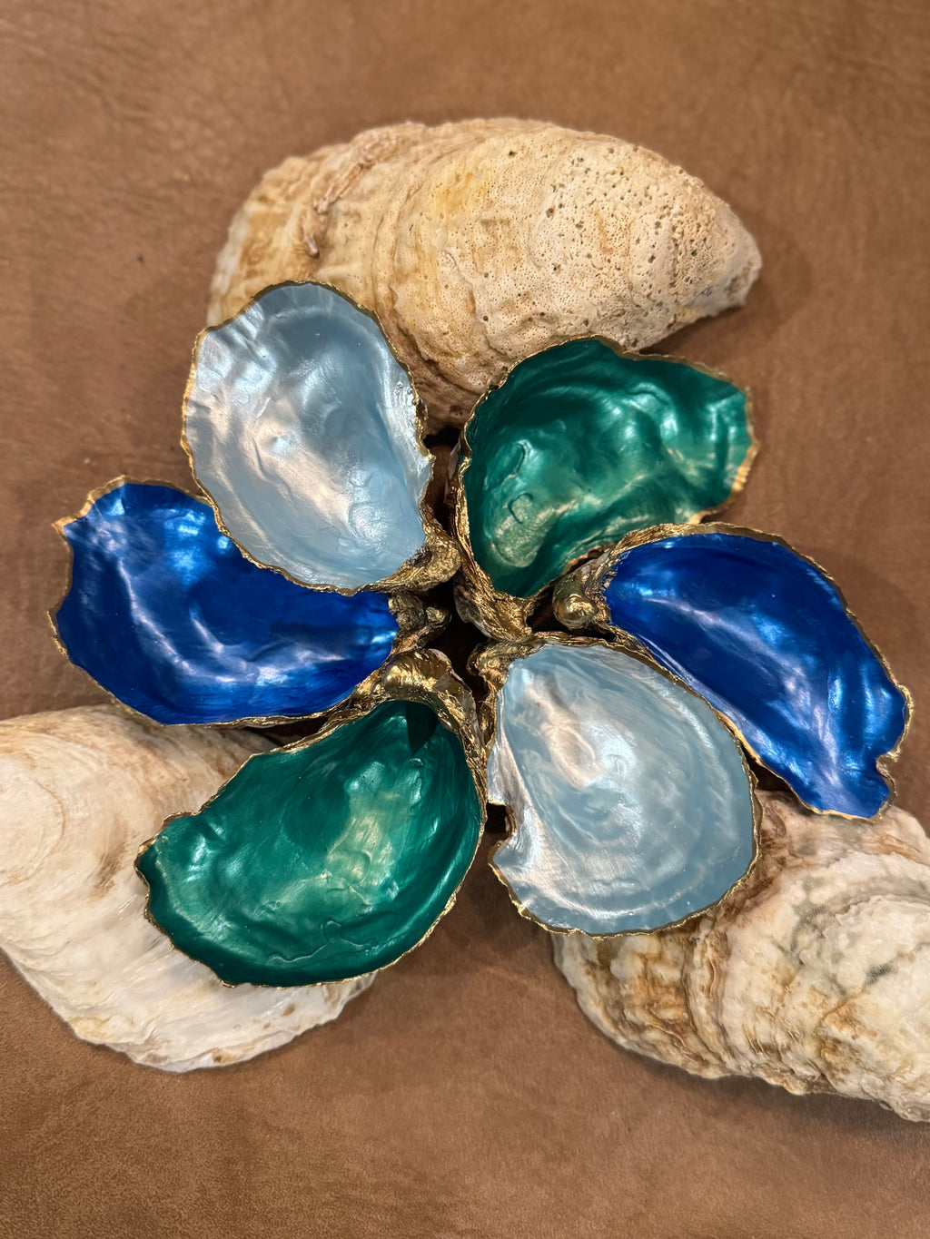 Single Oyster Shells